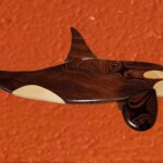 Orca